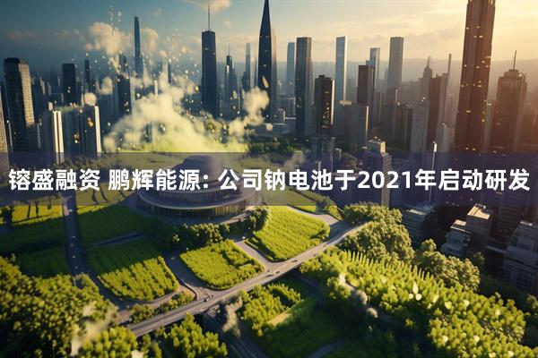 镕盛融资 鹏辉能源: 公司钠电池于2021年启动研发