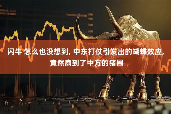 闪牛 怎么也没想到, 中东打仗引发出的蝴蝶效应, 竟然扇到了中方的猪圈