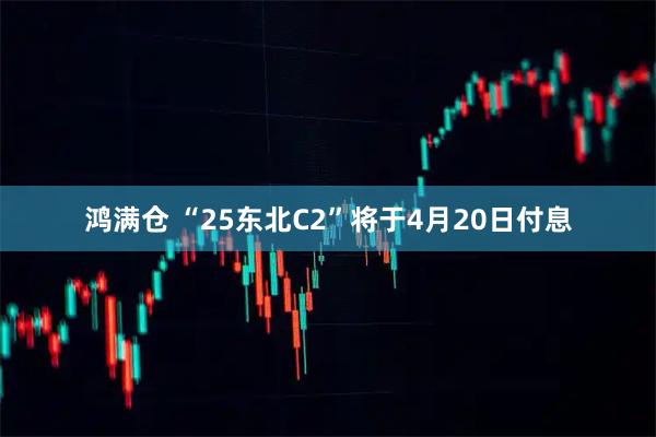 鸿满仓 “25东北C2”将于4月20日付息