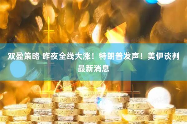 双盈策略 昨夜全线大涨!特朗普发声!美伊谈判最新消息