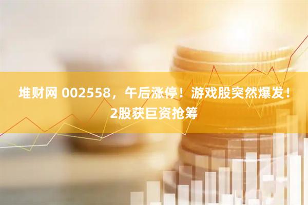 堆财网 002558，午后涨停！游戏股突然爆发！2股获巨资抢筹
