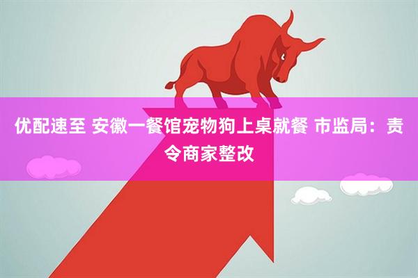 优配速至 安徽一餐馆宠物狗上桌就餐 市监局：责令商家整改